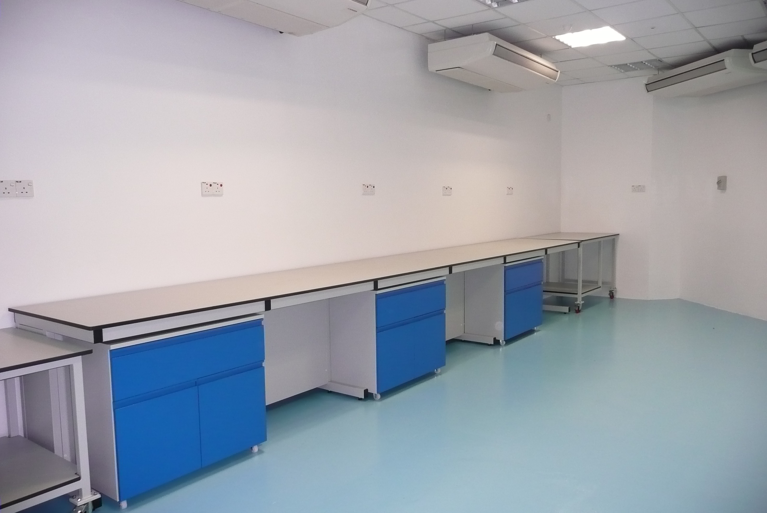Lab Bench & Cabinet